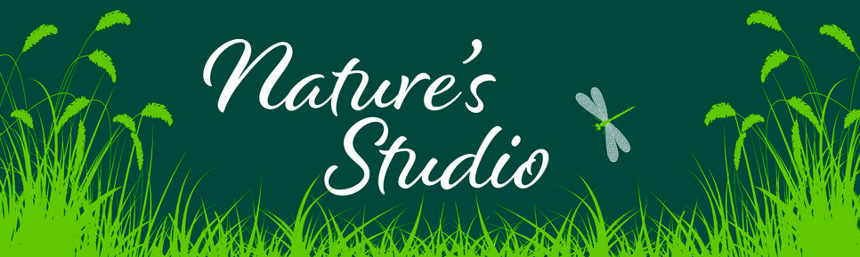 Nature's Studio logo