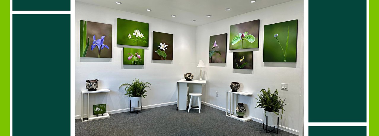 Work by Jackie Bailey Labovitz and Carolyn Blazeck