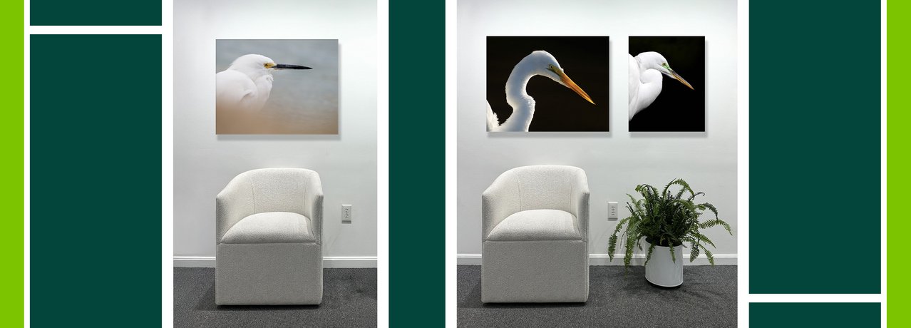 Work by Jackie Bailey Labovitz