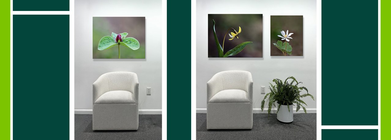 Work by Jackie Bailey Labovitz