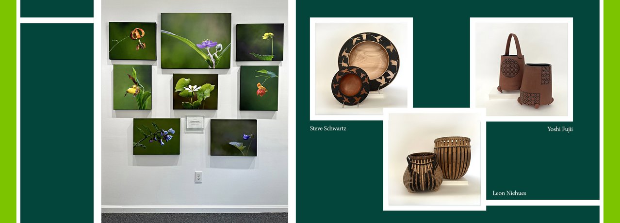 Work by Steve Schwartz, Leon Neihues, Yoshi Fujii