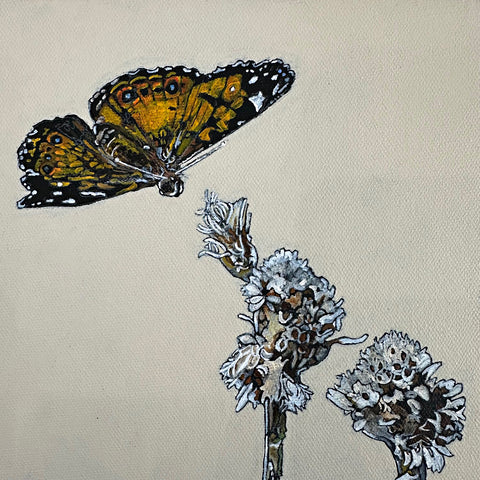 Detail of painting of american lady butterflies on pussytoes flowers against a white background by Frances Coates at Nature's Studio art gallery