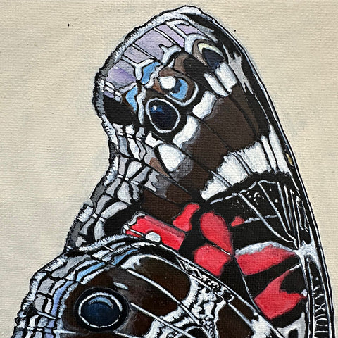 Detail painting of American Lady butterfly against a white background by Frances Coates at Nature's Studio art gallery, Front Royal, VA