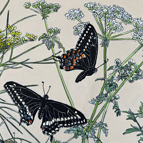 Detail of painting of eastern swallowtail butterflies on flowers against a white background by Frances Coates at Nature's Studio art gallery, Front Royal, VA