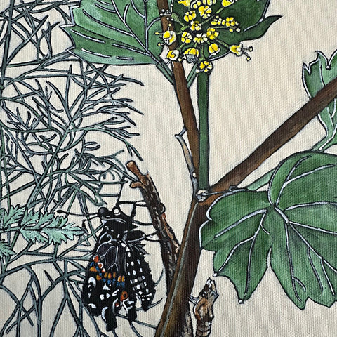 Detail of painting of eastern swallowtail butterflies on flowers against a white background by Frances Coates at Nature's Studio art gallery, Front Royal, VA