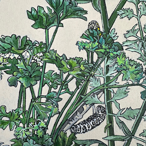 Detail of painting of eastern swallowtail butterflies on flowers against a white background by Frances Coates at Nature's Studio art gallery, Front Royal, VA
