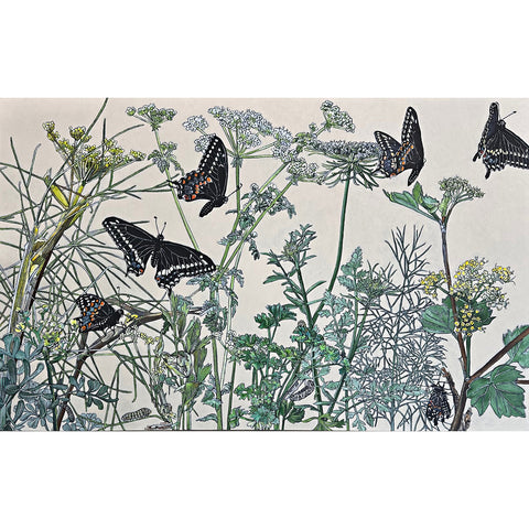 Eastern Black Swallowtails