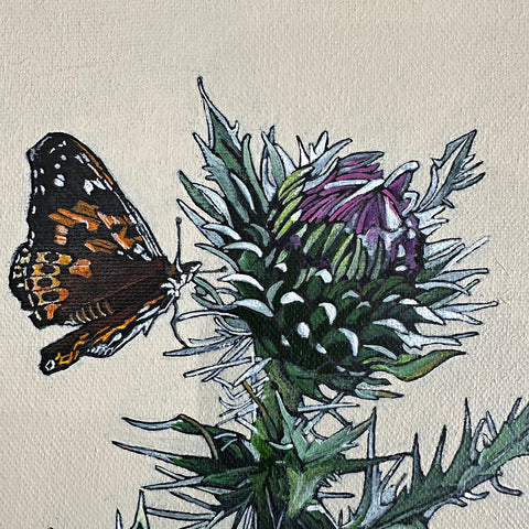 Painted Ladies & Thistles