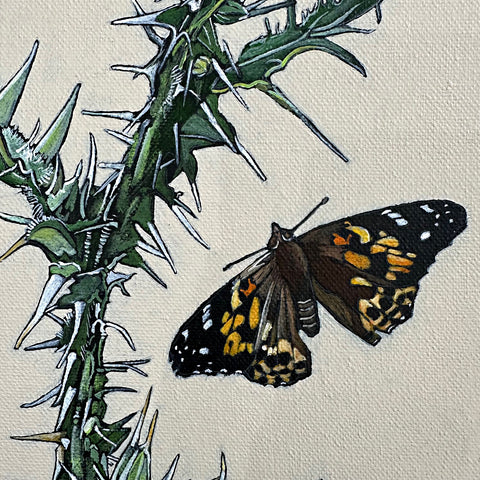 Painted Ladies & Thistles