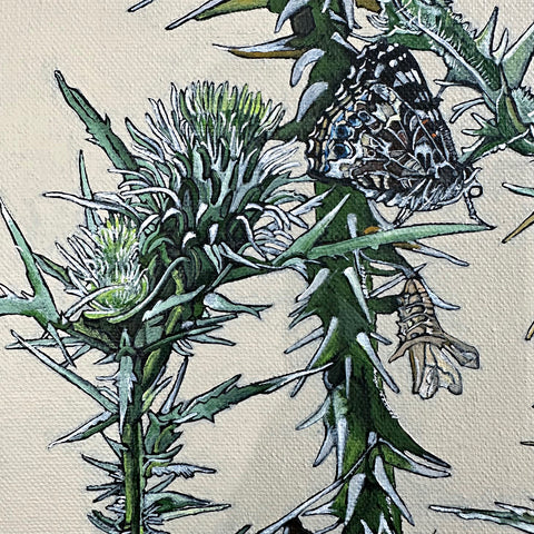 Painted Ladies & Thistles