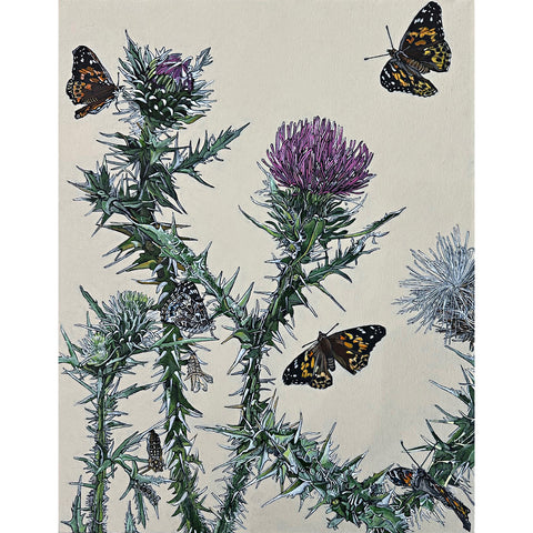 Painted Ladies & Thistles