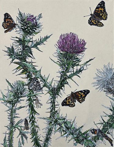 Painted Ladies & Thistles