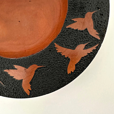 Hummingbird Migration