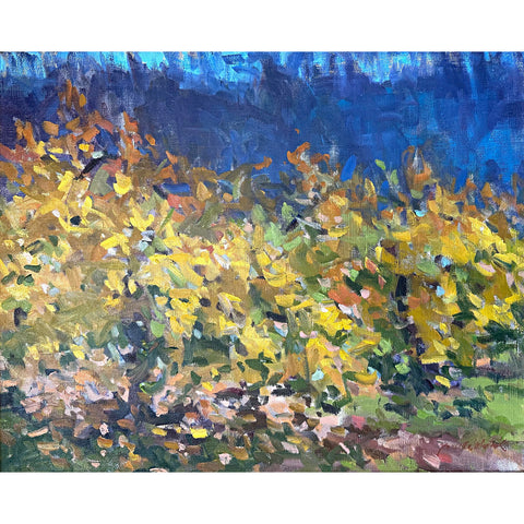 Fall, Trees in Blue, Woods