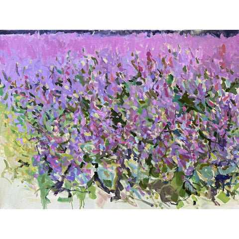 Field, Sage Pinks