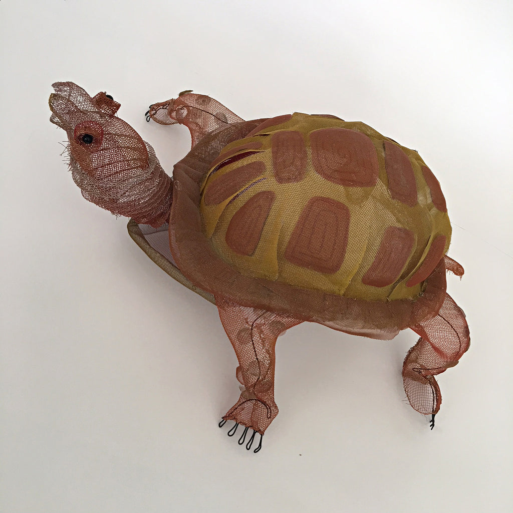 Box Turtle