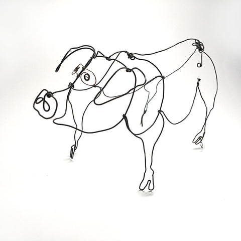 Pig