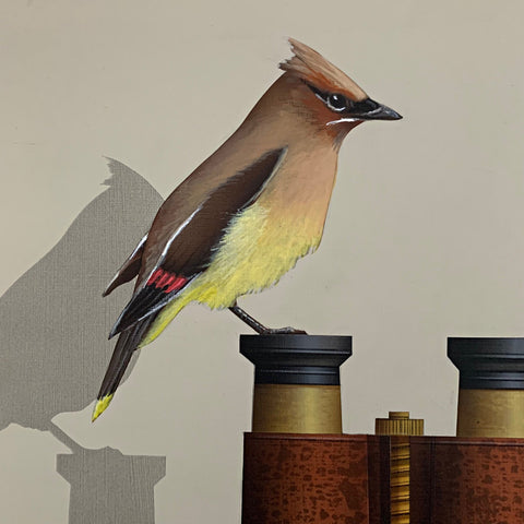 Bird Watching (Cedar Waxwing)