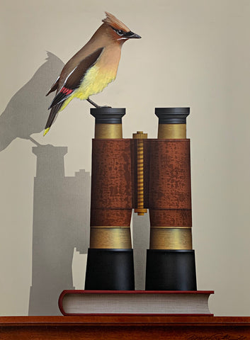 Bird Watching (Cedar Waxwing)