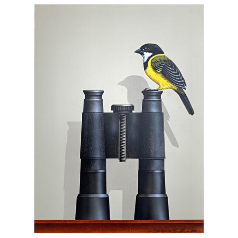 Bird Watching (Golden Whistler)