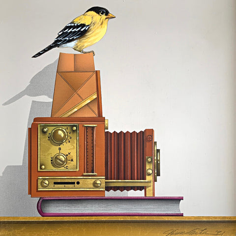 Bird Watching (Gold Finch)