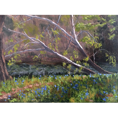 Bluebells and Sycamores