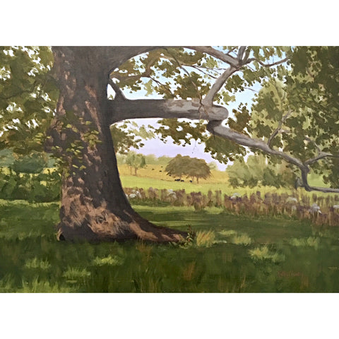 Sycamore Sentry