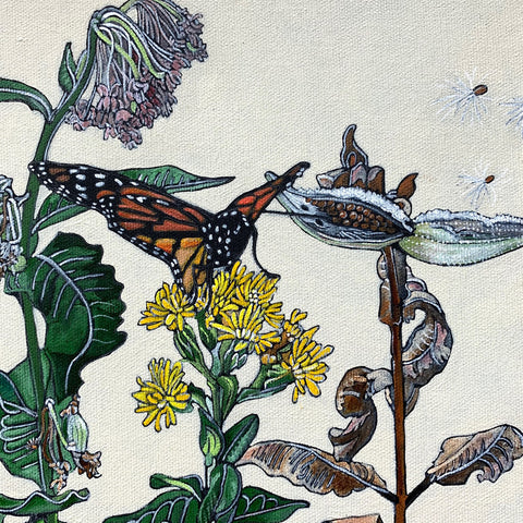 Detail of painting of milkweed with monarch butterflies in various stages - cocoons, caterpillars, emerging butterflies - against a white background by Frances Coates at Cottage Curator - Sperryville VA Art Gallery