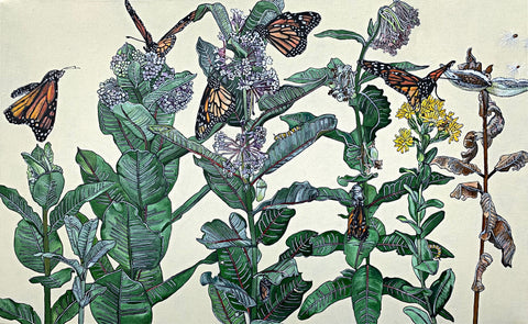 Painting of milkweed with monarch butterflies in various stages - cocoons, caterpillars, emerging butterflies - against a white background by Frances Coates at Cottage Curator - Sperryville VA Art Gallery