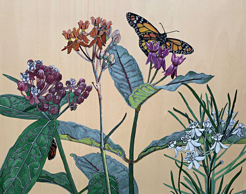 Acrylic painting on wood panel of Swamp, Few Flower, Purple and Whorled milkweed plants with monarch butterflies by France Coates at Cottage Curator - Sperryville VA Art Gallery