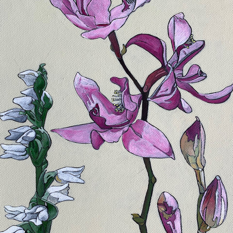 Orchid Family