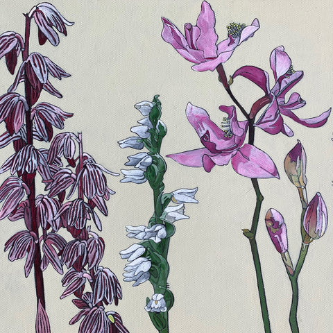 Orchid Family