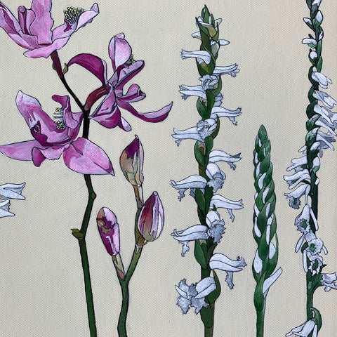 Orchid Family