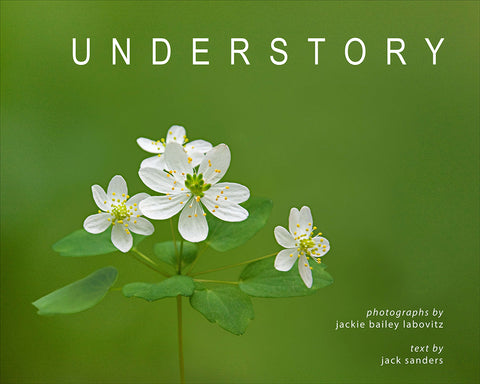 Understory Book