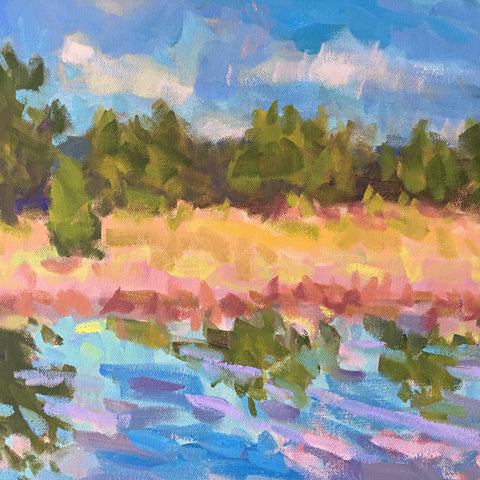 Reflections, Clouds, Marsh