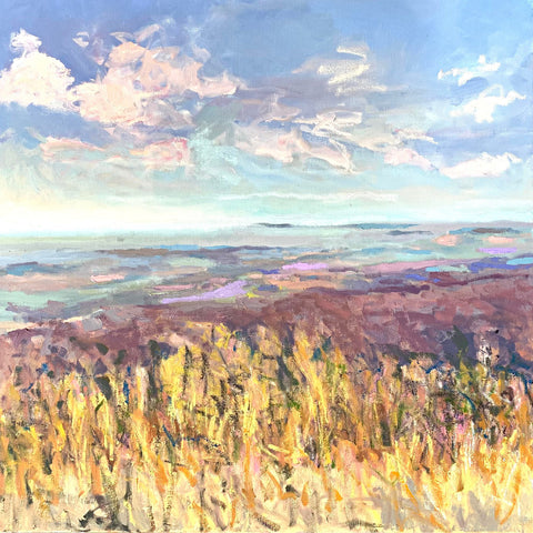 Spring Overlook