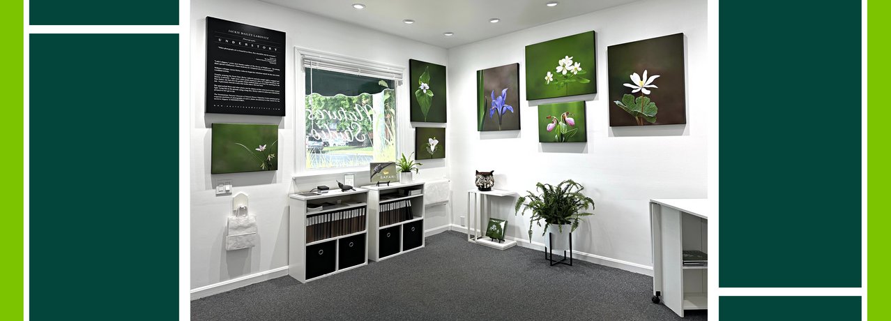 Work by Jackie Bailey Labovitz and Carolyn Blazeck at Nature's Studio Art Gallery