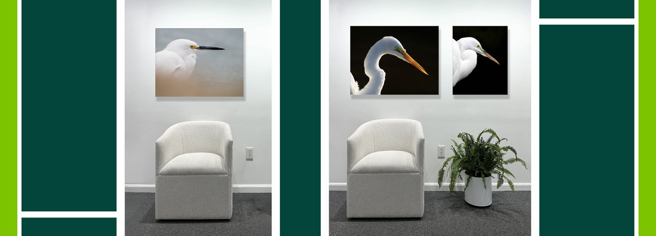 Work by Jackie Bailey Labovitz at Nature's Studio - Front Royal VA